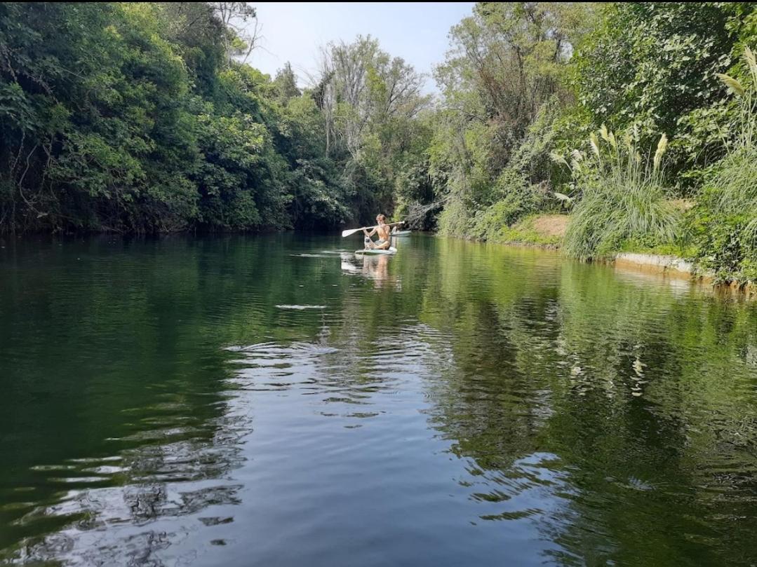 Hébergement de vacances Petit Moulin Le Cannet-des-Maures